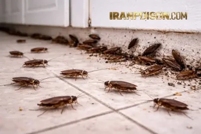 خرید سم سوسک خرید سم سوسک