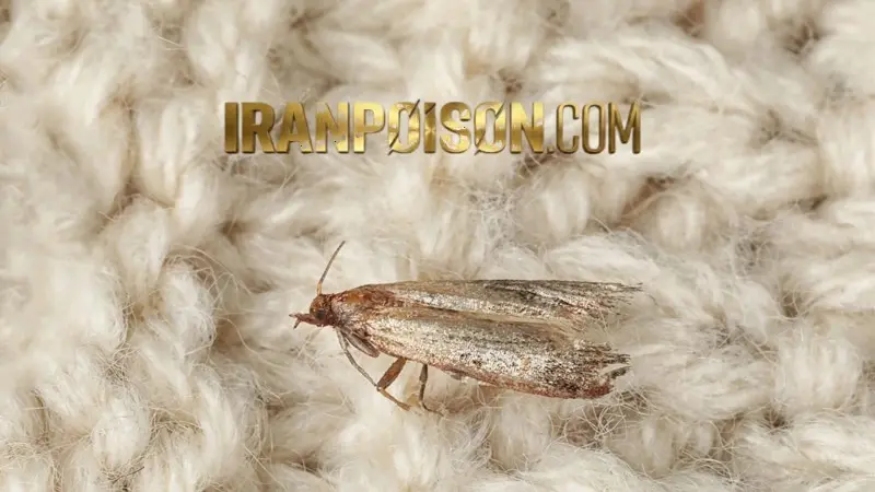 نحوه مصرف سم آکواپای